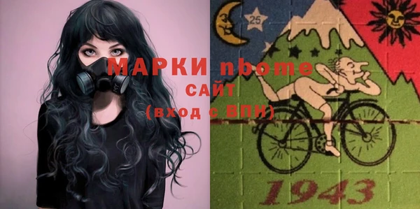 хмурый Осинники