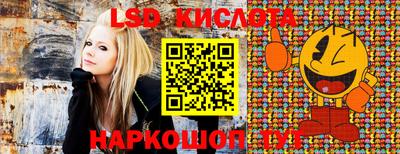 индика Бийск