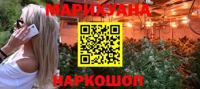 индика Бийск