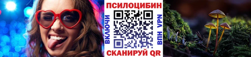 Псилоцибиновые грибы Psilocybine cubensis  Грозный 
