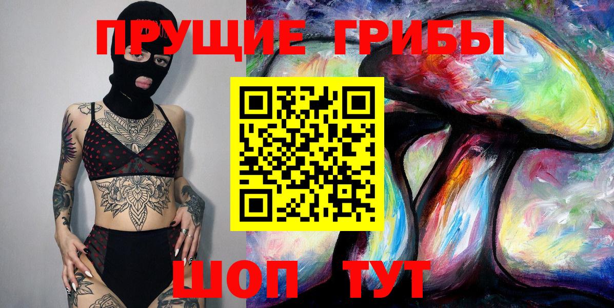 Грозный  Псилоцибиновые грибы прущие грибы  Вход с VPN 