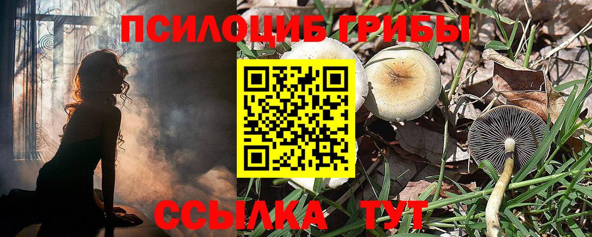Псилоцибиновые грибы ЛСД Грозный