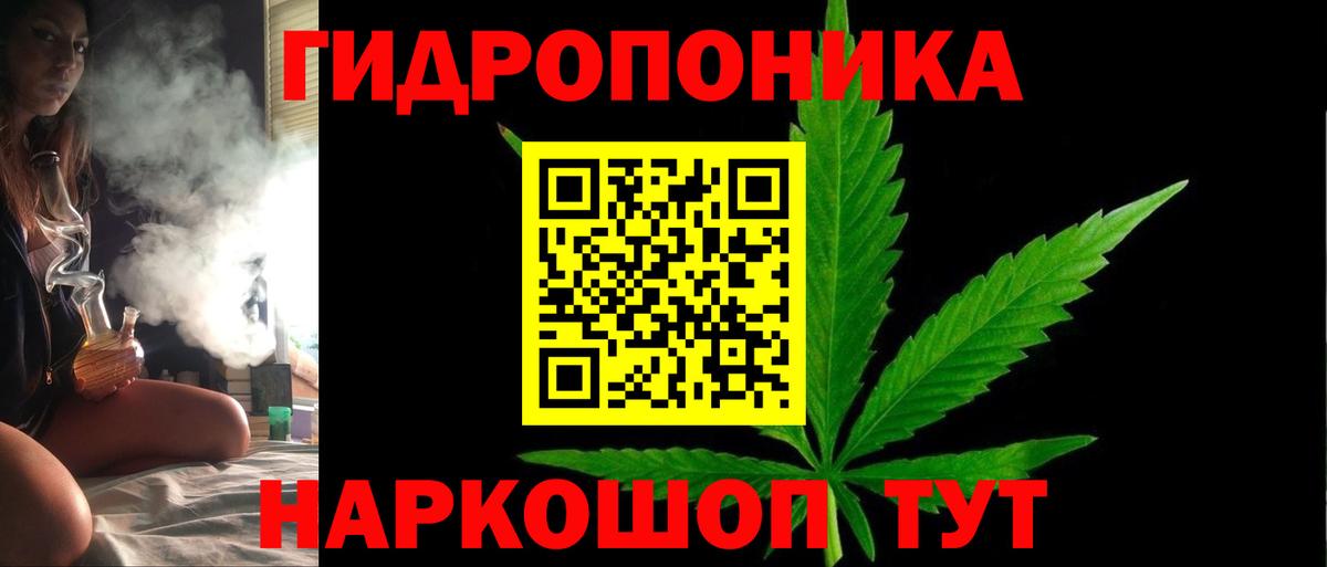 Шишки марихуана индика  Бошки марихуана Bruce Banner  Грозный 